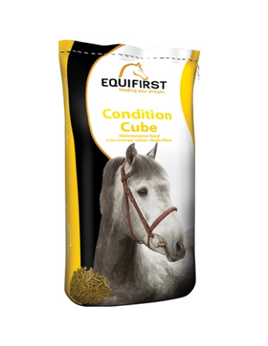 EQUIFIRST Condition Cube