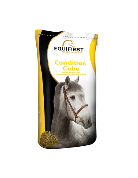 EQUIFIRST Condition Cube