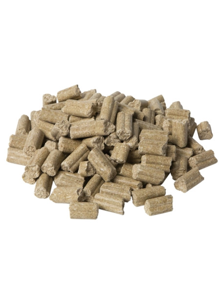 Horse Treat Apple