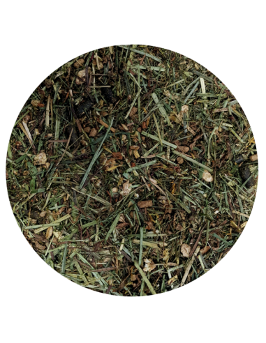 Amequ Omega-3 Performance Care