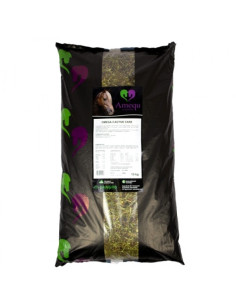 Amequ Omega-3 Active Care