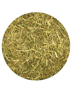 Amequ EspO3 2