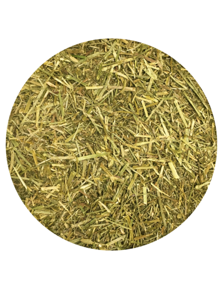 Amequ EspO3