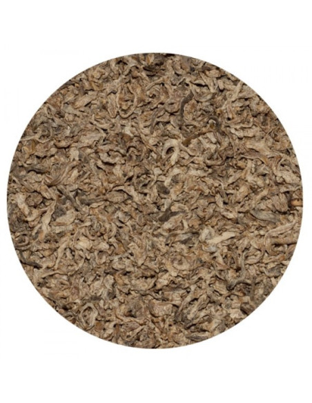 Betfor 12,5kg