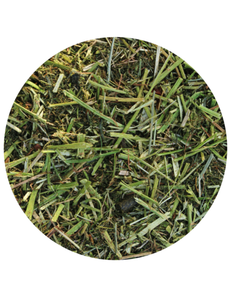 Amequ Lucerne TopMix Special