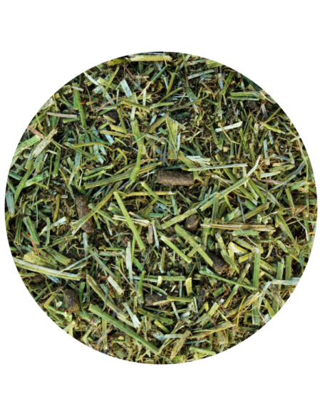 Amequ Lucerne TopMix Omega-3