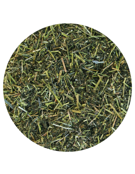Amequ Lucerne TopMix Light