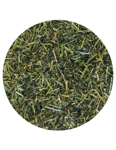 Amequ Lucerne TopMix 2