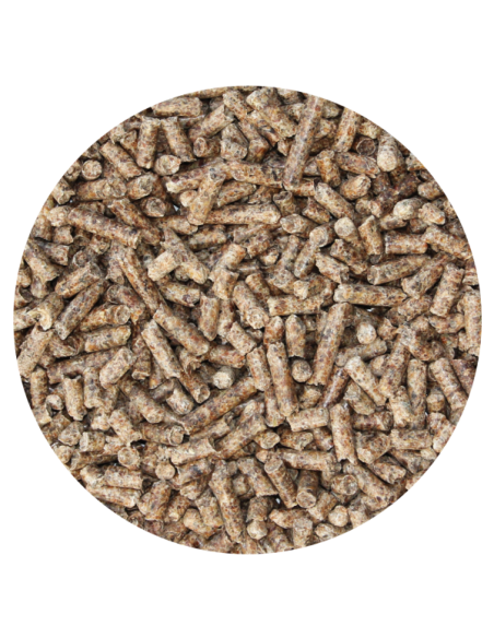 Amequ Roepiller