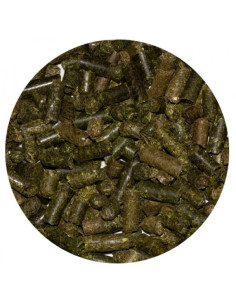 Amequ Lucernepiller 2