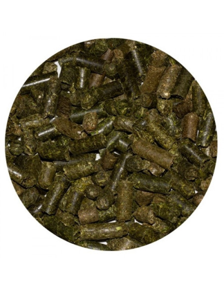 Amequ Lucernepiller