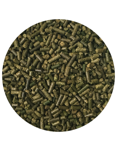 Amequ MetaFiber