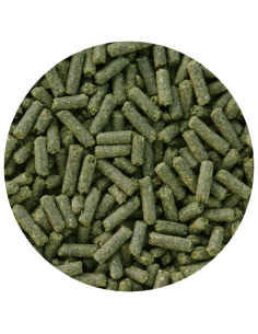 Amequ LinOcrunch 2
