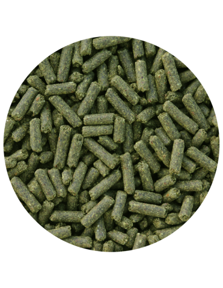 Amequ LinOcrunch