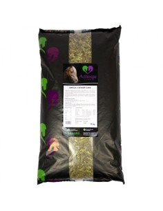 Amequ Omega-3 Senior Care