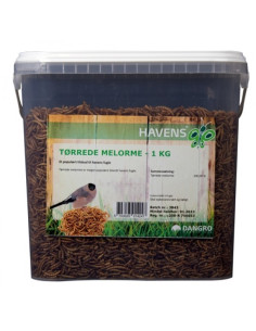 Tørrede Melorme 2