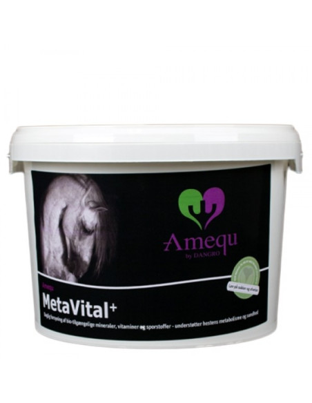 Amequ MetaVital+