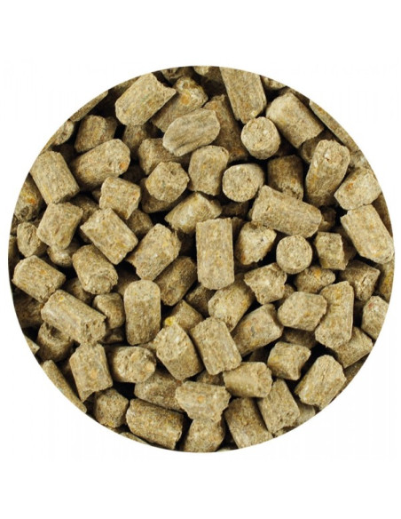 Amequ MetaVital+