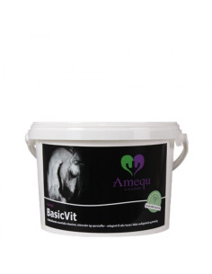 Amequ BasicVit