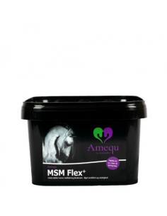 Amequ MSM Flex+