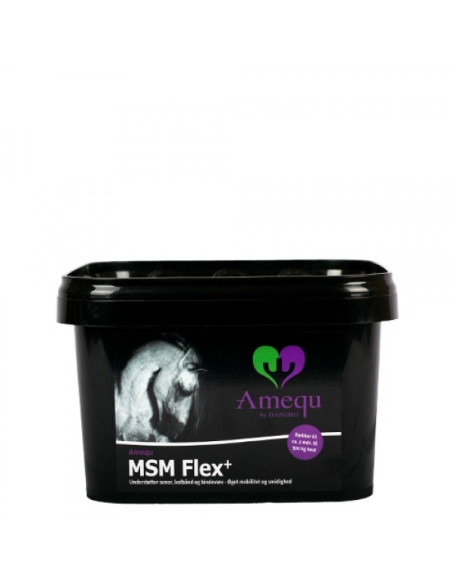 Amequ MSM Flex+