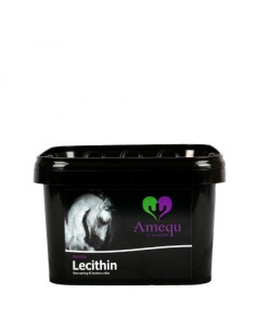 Amequ Lecithin