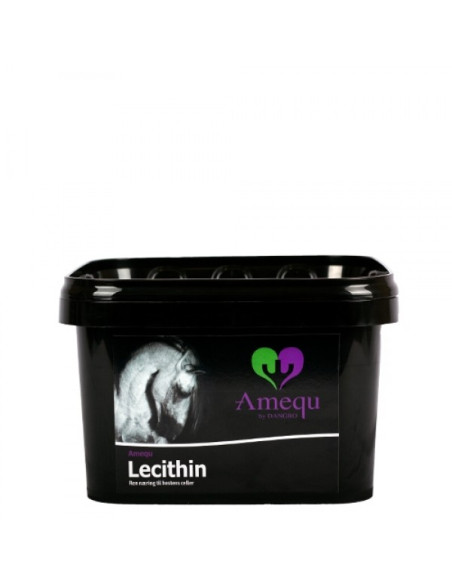 Amequ Lecithin