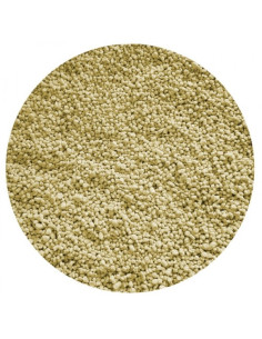 Amequ Lecithin 2