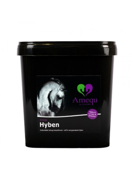 Ameau Hyben