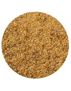 Amequ Gule hørfrø 2