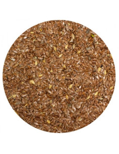 Amequ Brune hørfrø