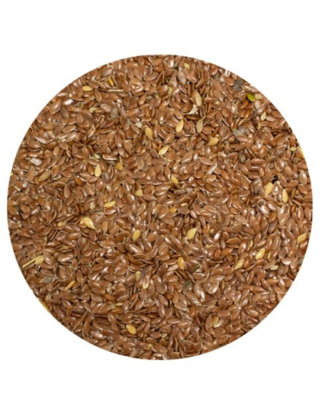 Amequ Brune hørfrø