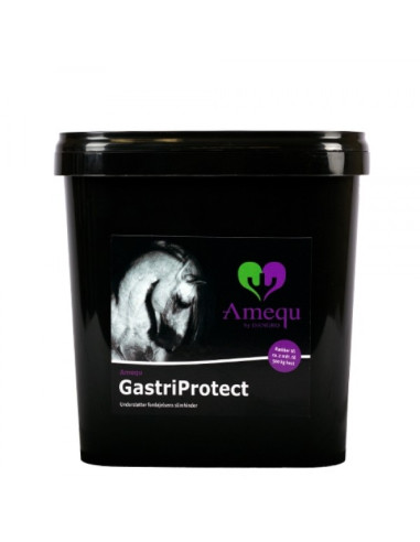 Amequ GastriProtect