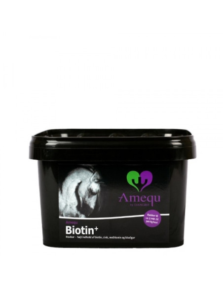 Amequ Biotin+