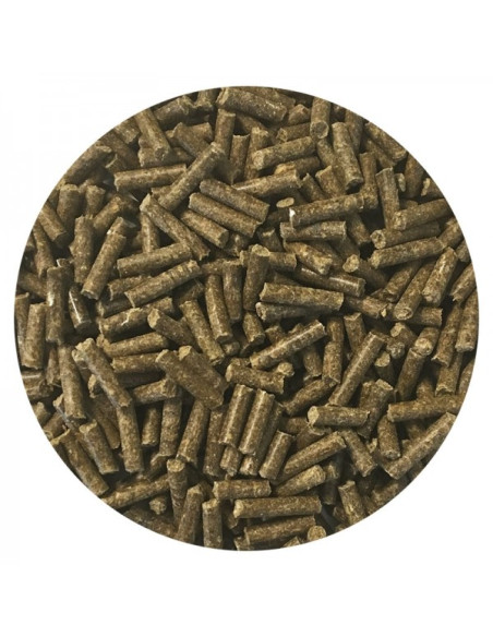 Amequ Biotin+
