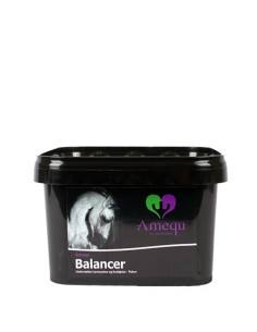 Amequ Balancer