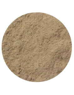 Amequ Balancer 2