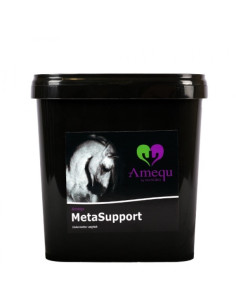 Amequ MetaSupport