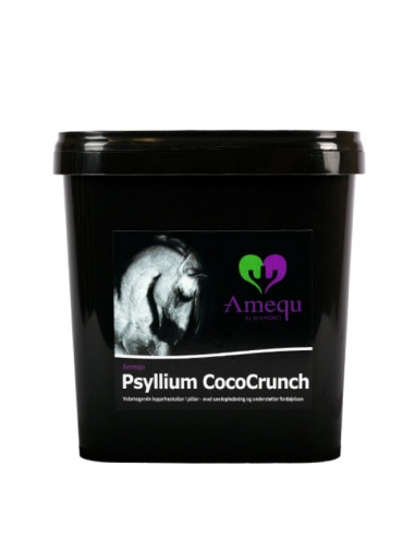 Amequ Psyllium CocoCrunch