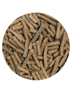 Amequ Psyllium CocoCrunch 2