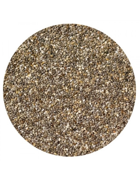 Amequ Chia