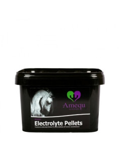Amequ Electrolyte Pellets
