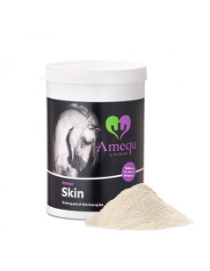 Amequ Skin