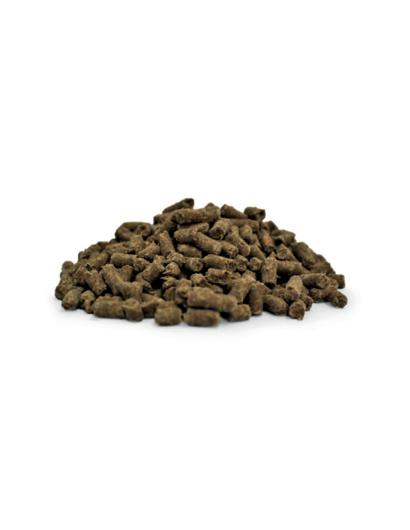 Egusin Gastric 365 pellets