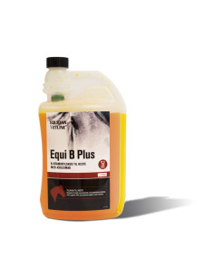 Equi B Plus