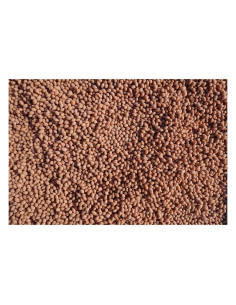 Salvana Biotin Dragee 2