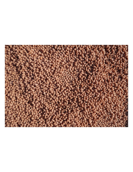 Salvana Biotin Dragee