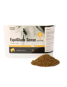 EquiGluco Sense 2