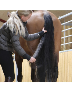 Nathalie Easy Mane & Tail Gel 2