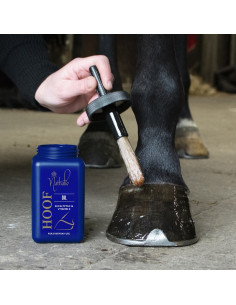 Nathalie Hoof Oil 2